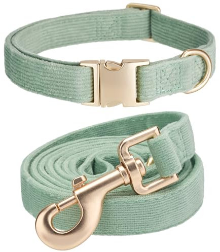 YUDOTE Hundehalsband und Leine Set Klein, Weiche Reizfreie Cord-Halsband-Leine Passende Combo für Den Täglichen Spaziergang, Salbeigrün