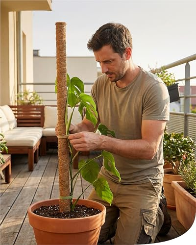 bellissa Kokosstab Pflanzstab Monstera Efeutute Rankhilfe 5er-Set 110 cm | Pflanzenstütze für Garten & Balkon mit Holzkern steckbar erweiterbar