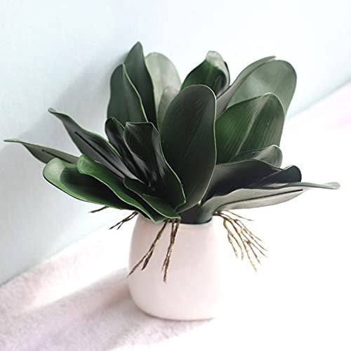 huaao 6 Stück künstliche grüne Phalaenopsis Simulation Orchideen Blumen Phalaenopsis Blätter echtes Latex Touch grüne Pflanze Deko für Blumen Garten Bonsai Dekor (26 cm/5 Blätter)