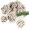 COM-FOUR® 30x Anhänger Tannenzapfen in weiß - Pinienzapfen als Weihnachtsdekoration - Zapfen Deko zum Anhängen - Bastel Set - Weihnachtsschmuck (30 Zapfen - weiß)