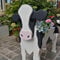 Vrogadso Kuh-Pflanzgefäß, Kuh-Blumentopf, Übertöpfe für Outdoor-Pflanzen, Sukkulenten, klein