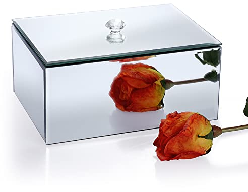 IGNPION Boîte à bijoux en verre miroir avec poignée - Moderne - Argenté - Boîte de rangement décorative - Boîte de rangement pour bijoux, boucles d'oreilles, bagues, bijoux - Rectangulaire