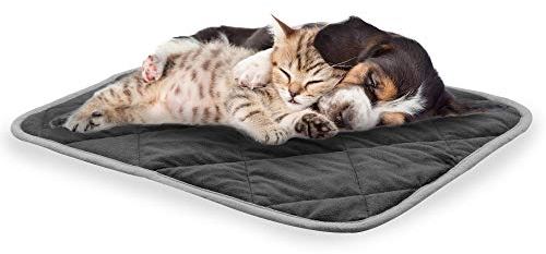 NWK Fluffy Self Warming Cat Mat, Heated Cat Blanket, Thermal Dog Mat, Washable, Non-Slip Bottom for Sofa & Crate & Kennel & Car Seat (Black, Small (48.5cm X 38cm X 1.8cm))