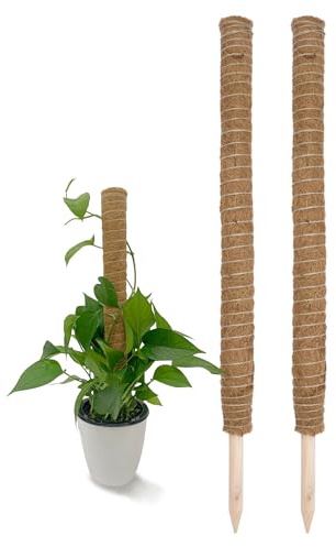 Kokos Rankstab 110 cm Natur - 2 Stück - Pflanzstab für Zimmerpflanzen – Blumen Pflanz Stab Topf Rankhilfe Kletterhilfe Kokosstange für Kletterpflanzen