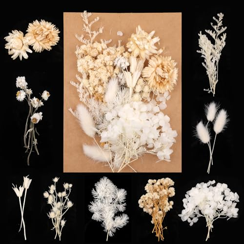 Trockenblumen,Natürliche Gemischte Getrocknete Blumen, Klein Trockenblumen Zum Basteln für DIY Epoxidharz Scrapbook Zubehör Handwerk Karten Machen (Weiß)