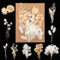 Trockenblumen,Natürliche Gemischte Getrocknete Blumen, Klein Trockenblumen Zum Basteln für DIY Epoxidharz Scrapbook Zubehör Handwerk Karten Machen (Weiß)