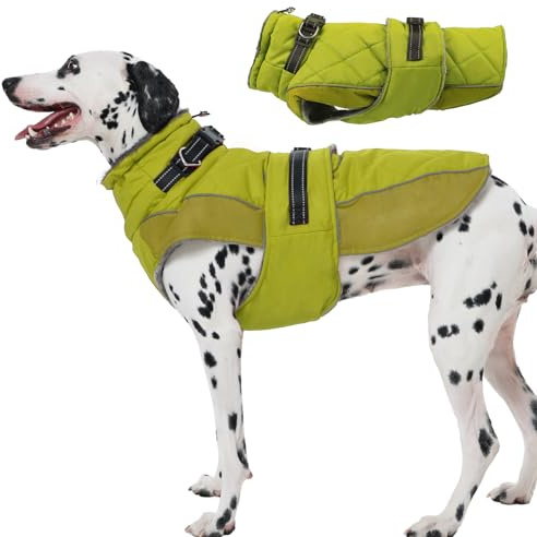 Katzinst Hundemantel mit Bauchschutz, Wintermantel Hunde mit Hohem Kragen, Wintermantel Hund Groß, Verstellbare Hunde Fleecemantel mit Sicherheitsschnalle für Boxer, Border Collie, Grün, XL