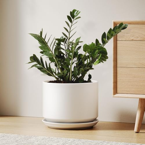 LE TAUCI Ceramic Plant Pot, 25 cm, Indoor Plant Pot, with Saucer, White | Ceramic Plant Pots Indoor, with Non-Detachable Saucer, Drainage Hole, Mesh Pad, Modern Decor for Living Room and Entryway