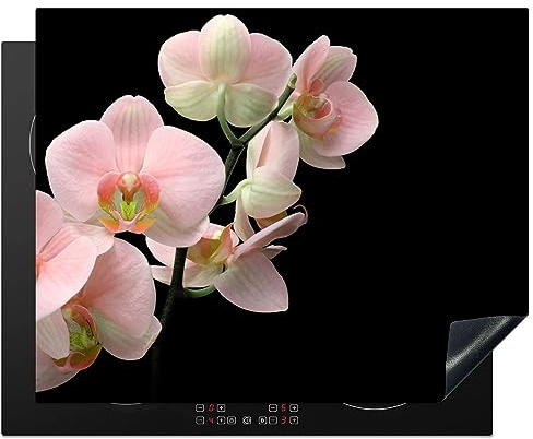 MuchoWow Herdabdeckplatte Ceranfeld Spritzschutz Küche Orchidee - Blumen - Rosa - Stilleben - Flora 65x52 cm Induktionsherd Abdeckung Induktionskochfeld Ceranfeldabdeckung