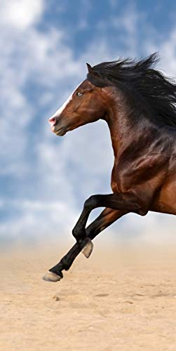 Magnettafel Pinnwand XXL Bild Pferd Strand Brauner Galopp Größe 60 x 120 cm