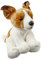 Teddys Rothenburg Kuscheltier Hund Jack Russel Terrier 26 cm sitzend