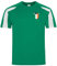 T-Shirt mit Aufdruck Irland-Fans, Unisex, ideal zur Unterstützung von Irland während des Fußballs, Cricket, Rugby, ideal für jedes Geburtstagsgeschenk, Wichtelgeschenk, nicht offiziell, grün/weiß, XXL