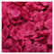 GIVBRO 500 Uds pétalos de Rosa Artificiales pétalos de Flores de Seda Boda dispersión Confeti Accesorios de Fiesta para la decoración del hogar Fucsia