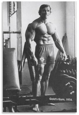 Arnold Schwarzenegger Poster Fitnessstudio Motivierende Zitate Bodybuilding (60) Kunstwerke Leinwand Poster Wandkunst Drucke Home Modern Decor 20 x 30 cm