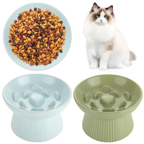 YAYODS 2PCS Ceramic Raised Cat Slow Feeder Bowls - Anti-Gulping & Anti-Vomiting, Non-Slip Puzzle Food Bowls for Cats & Small Dogs, Whisker-Friendly Design for Wet & Dry Food (Blue & Green)