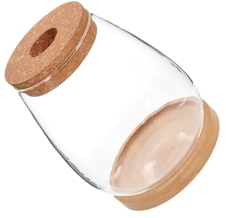 SUPVOX Transparentes Pflanzen Terrarium aus Glas und Bambus als Selbstgemacht Hydrokultur Topf für Wohnraumdeko und Schlafzimmer Pflanzgefäß