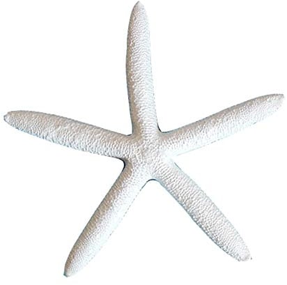 Cheerlife Bunt künstlich Seestern Deko Seestern | Kleine Seesterne Dekofigren für Heim Deko Badezimmer Aquarium Dekoration & Basteln DIY Weiß 2 STK