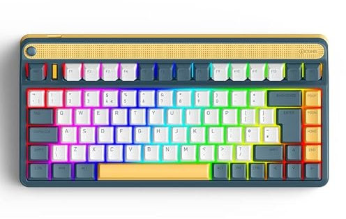 iQunix A80 EXPLORER Mechanical Keyboard(UK LAYOUT), TKL Wireless 2.4GHz/Bluetooth 5.0/Wired Type-C Gaming Keyboard with 84 Keys RGB Backlit, Tilted F-Row PBT Keycaps Hot-Swappable Cherry MX Blues