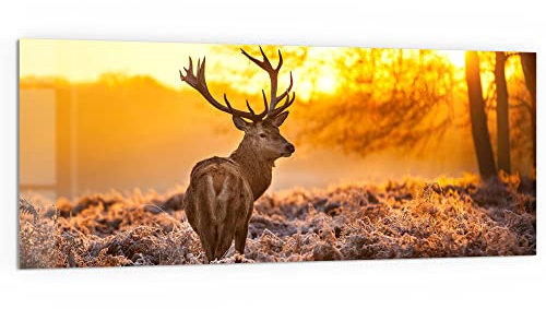 DEQORI Küchenrückwand Glas | Motiv Hirsch am Wintermorgen | 125x50 cm | Bad- oder Herd-Rückwand | Herdblende Spritzschutz für Küche & Badezimmer | Moderne Deko für Fliesenspiegel