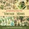 Scrapbooking Paper Pad - Vintage Herbs: 24 Double-Sided Decorative Sheets for Papercrafts, Cards & Decorative Scrapbook Crafts (Scrapbooking Paper Pads)