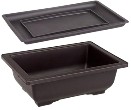 Pots à bonsa élégants avec plateau – Pot de fleur rectangulaire robuste pour la maison et la cour
