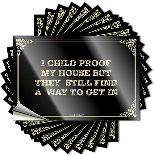 Mechaniker-Aufkleber I Child Proof My House But They Still Find A Way to Get in, Auto-Aufkleber für Männer, 6 x 9 cm