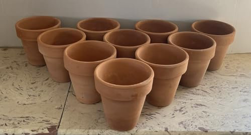 Generico Lot de 10 pots en terre cuite 8 cm pour plantes aromatiques Rouge naturel