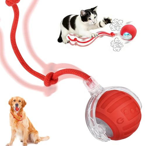 Interaktives Katzenspielzeug Spielzeug, Elektrisch Katzenspielzeug Ball interaktives Spielzeug mit Schwanz für Katzen Katzenspielzeug Selbstbeschäftigung, 360° Rolling Smart Balls für Katzen Hunde