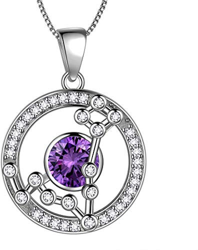Aurora Tears Fische Halskette 925 Sterling Silber 12 Sternzeichen Runde Anhänger Sternbild Zeichen Februar Birthstone Halskette CZ Horoskop Schmuck für Frauen und Mädchen DP0176Y
