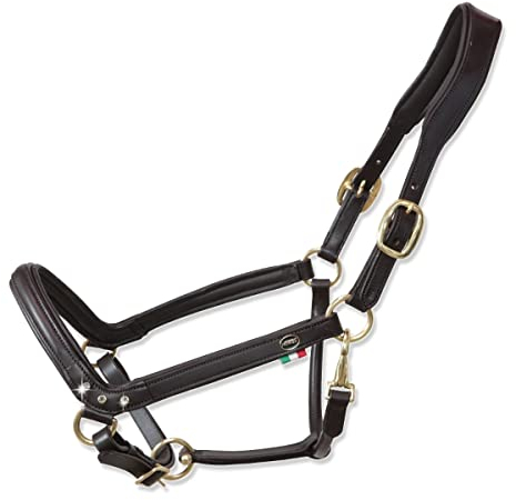 Horses, Lederhalfter Tasting Anatomic, Komfortables Halfter zum Führen des Pferdes an der Hand oder zum Sichern beim Putzen, Satteln oder Transportieren (Cob, Havana)