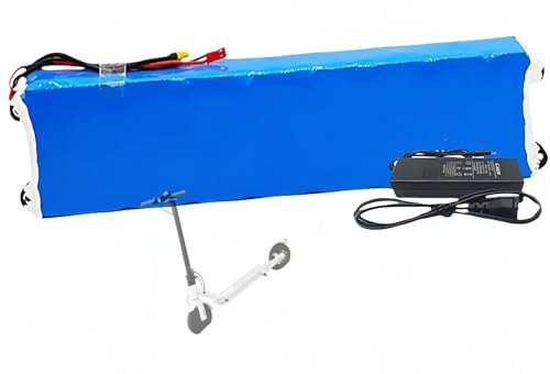 36V 10Ah Lithium Battery for E-Bike, High Power Scooter Battery for 750W Electric Balance Bikes with 42V 2A Charger 36V 10ah,XT30