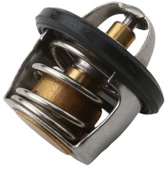 Termostato for GTS300 HD300 400 19300