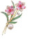 LUCBEI Brosche Elegante und schöne Orchideen-Brosche High-End-Luxus-Blumen-Pin-Anzug-Mantel-Kragen-Dekoration Kleid Brosche