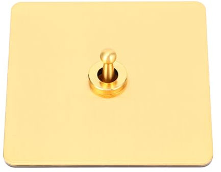 AC250V 1 Gang 2 Way Interruptor de Palanca Unipolar con Panel de Acero Inoxidable de Color Dorado, Base de PC Aislada para Diversas Decoraciones del Hogar, Toma de Corriente