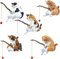Super Idee 5er Set Japanische Fischen Katze mit Einer Angelrute Miniatur Figuren Aquarium deko Miniteich Deko Fee Charme Mini Schreibtisch Feengarten Figuren zum Dekorieren Spielen Basteln