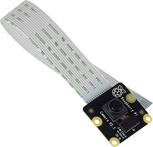 Raspberry Pi PiNoir Camera Module V2.1 Cámara Multicolor
