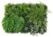 OYFFL Mur d'herbe Panneau de Fond Artificiel décoration intérieur extérieur intimité écran de haie Protection UV adapté à la fête de clôture (1)
