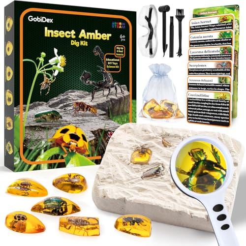 GobiDex Amber Dig Kit for Kids Ages 6+, Excavate 6 Insects Specimens