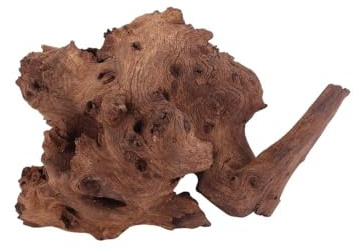 AquaOne Aquarium Wurzel Deko L Mopani Aquascaping Echtholz Nr.2827 Holz Dekoration Pflanzen Wasserpflanzen Landschaft Moos Natur Mopaniwurzel Welse