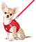 FEimaX Dog Harness and Leash Set for Small Medium Dog Cat No Pull Adjustable Soft Mesh Chihuahua Chest Harness Puppy Reflective Step-in Safety Vest for Outdoor Walking