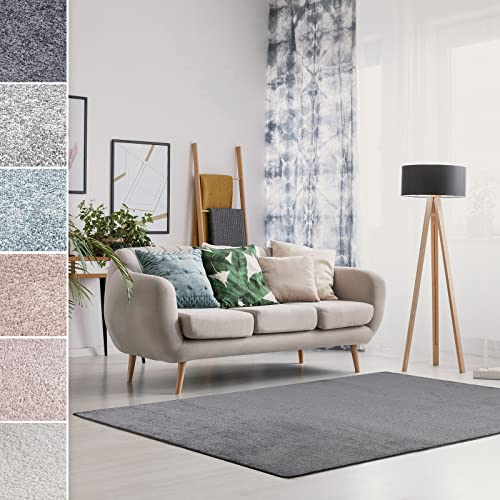 Floordirekt Velours-Teppich Sundae - moderner Teppich für Wohnzimmer Schlafzimmer - Flauschiger Wohnteppich der Extraklasse - Super Soft (Anthrazit, 200 x 300 cm)