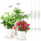 SANSI Pflanzenlampe LED Vollspektrum Pot-Clip Pflanzenlicht für Zimmerpflanzen, Pflanzenwachstumslampe mit 3/6/12 Std Timer, 4 Helligkeitsstufen, 10W Wachstumlampe für kleine Pflanzen, Weiß 3er-Pack