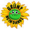 10er set Blume -grüne nein danke kein Bock auf grüne Gretl Greta Druck Plakette Fun Sticker Aufkleber Fridays for Future Klima Scheisse Plakette
