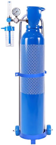 PASPRT Conteneurs médicaux Portables de Stockage de Bouteilles d'oxygène avec Masque et Tuba, Petit réservoir d'oxygène, Ensemble Complet (8 L)