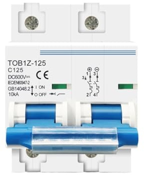 2-poliger DC-Leitungsschutzschalter 600 V 125 A 100 A 80 A for PV-Anlagen, C-Kurve, Batterie-Hauptschalter(100A)