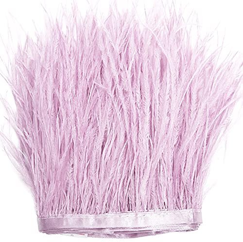 THARAHT Piume di struzzo viola chiaro Trim Frangia di cucito 2Yard 4-6inch per il vestito di cucito fai da te Craft Clothing Latin Wedding Dress Decorazione Piuma di struzzo Trim