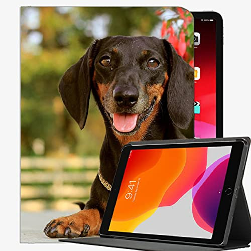 Für iPad Air 1. Generation Fall, Hund Dackel Gesicht Ferien Case Slim Shell-Abdeckung für ipad Air 9,7 Zoll