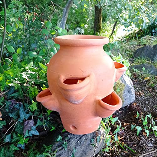 TINAJA Jardinera de barro con 7 Huecos. 35x30