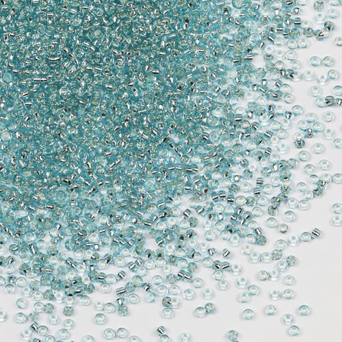 Bulk Seed Beads 110 grams about 9800pcs, 2mm 12/0 Sky Blue Glass Craft Beads for Making Earrings, Bracelets, Pendants, Waist Jewelry,DIY Handmade Seed Beads(Sky Blue Silver Core)