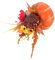 Ciieeo Emulation Pumpkin Decoration Thanksgiving Day Props Simulation Pumpkins